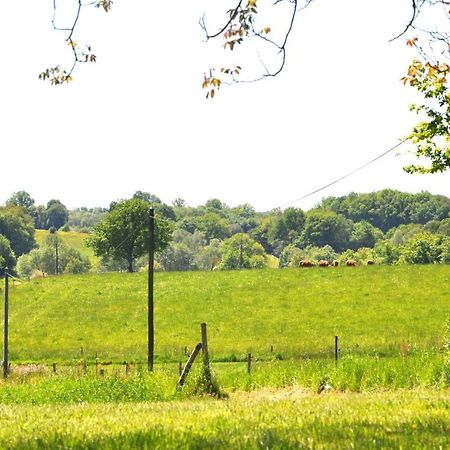 Domaine Du Castellare Bed & Breakfast Le Chalard Dış mekan fotoğraf