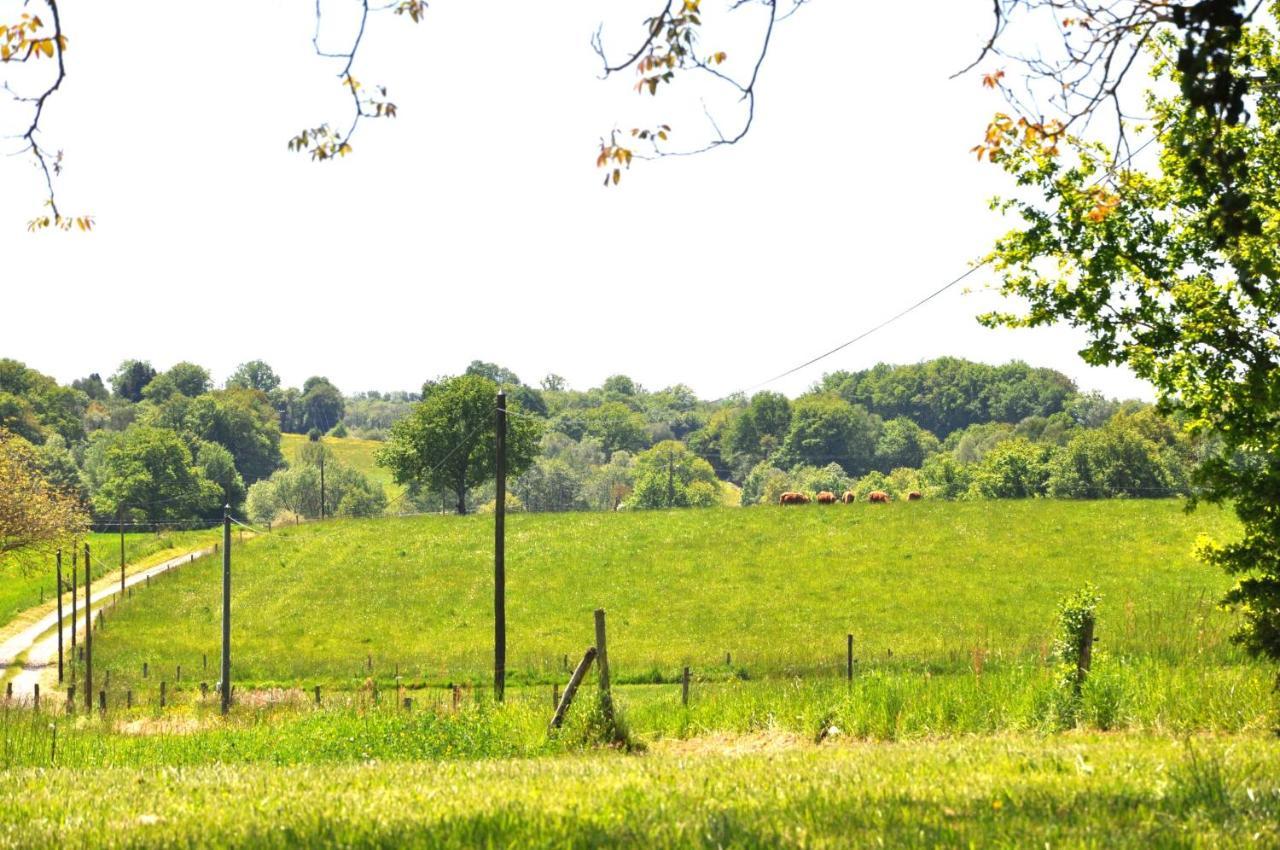 Domaine Du Castellare Bed & Breakfast Le Chalard Dış mekan fotoğraf